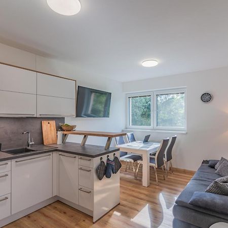 Apartman Černá v Pošumaví Exteriér fotografie